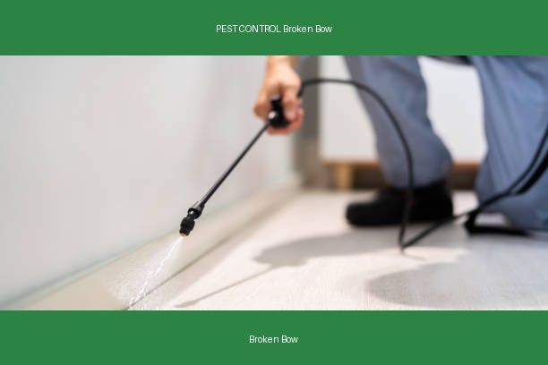 PEST CONTROL Broken Bow